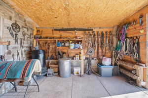 Basement with wood walls