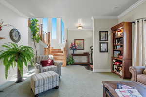 Living area featuring crown molding, carpet, and stairway