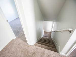 Stairs with carpet and baseboards