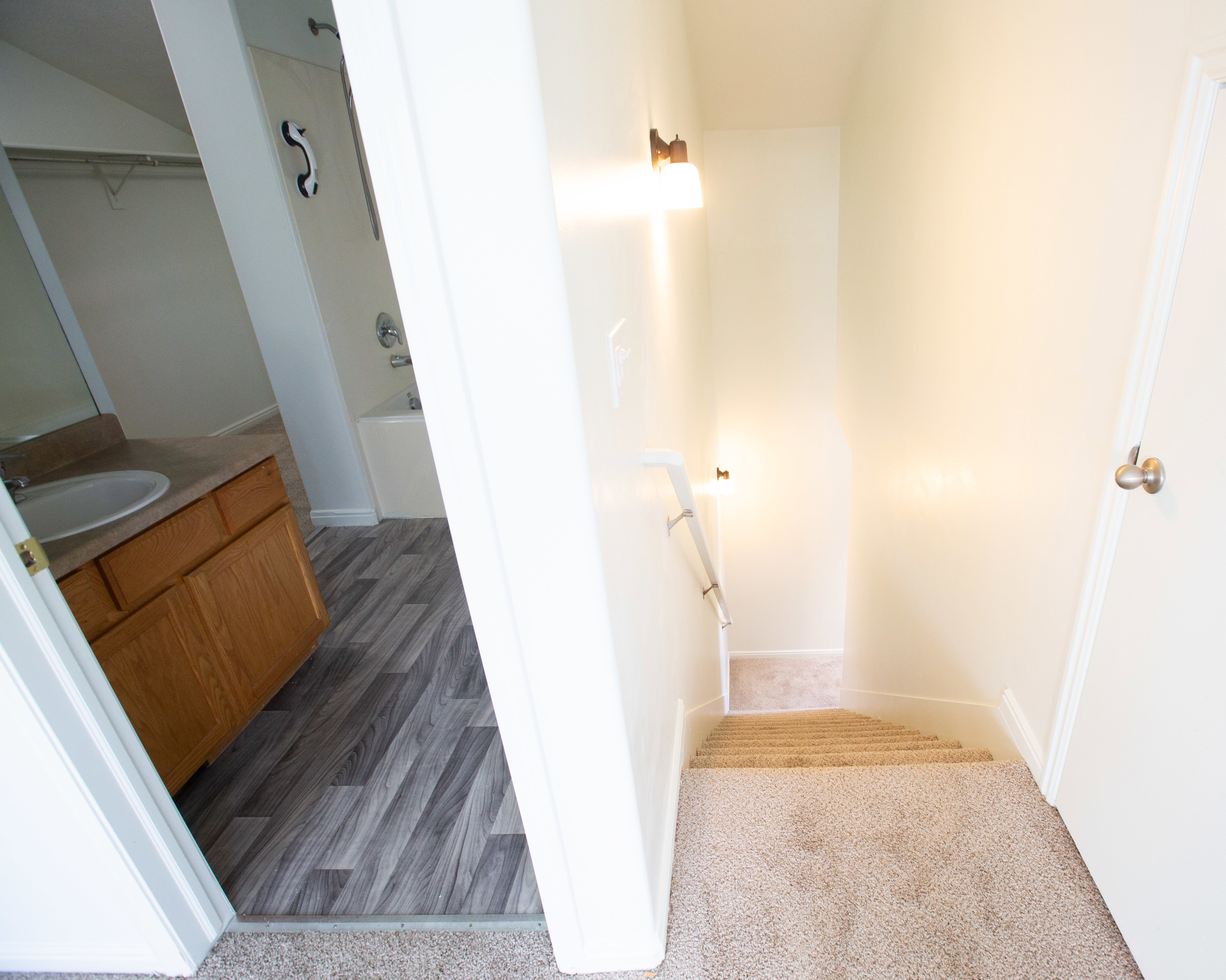 Stairs featuring wood finished floors and carpet floors