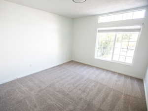 Carpeted spare room with plenty of natural light and a textured ceiling