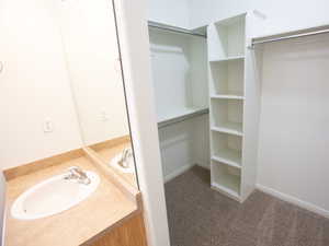 Spacious closet with a sink and light carpet