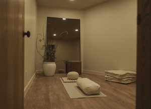 Bathroom with wood finished floors and recessed lighting