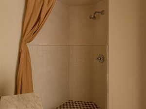 Bathroom view of tiled shower