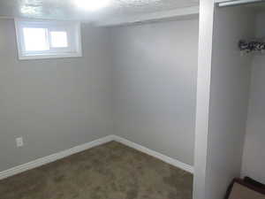 Below grade area with carpet floors and a textured ceiling