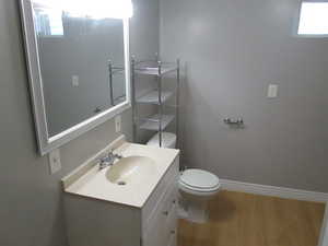 Bathroom with wood finished floors, plenty of natural light, and vanity
