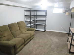 Below grade area featuring light colored carpet and a textured ceiling