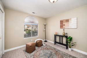 Living area featuring carpet floors