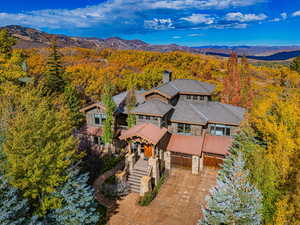 Drone / aerial view of a mountainous background and a forest
