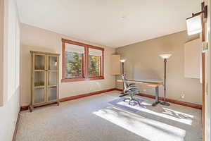 Unfurnished office with carpet floors