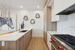 Kitchen with modern cabinets, light snow colored quartz countertops and custom cabinetry overlay on frig and dishwasher.
