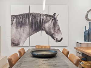 Welcome to the West. Gorgeous artwork throughout the home.