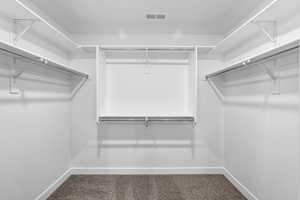 Spacious closet with dark carpet