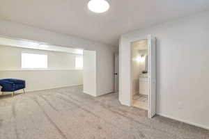 Below grade area featuring carpet