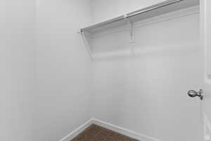 Walk in closet featuring carpet