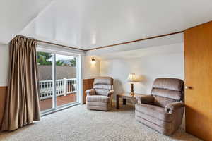 Living area with carpet