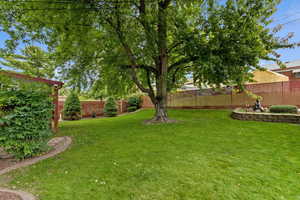 View of fenced backyard