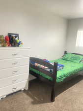 Bedroom featuring carpet