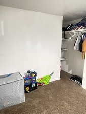 Walk in closet with carpet flooring