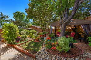 View of fenced backyard