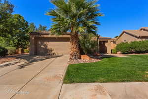 Obstructed view of property with stucco siding, concrete driveway, a front lawn, and a garage
