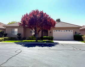 View of property hidden behind natural elements with a tiled roof, stucco siding, a garage, and driveway