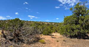 View of undeveloped land