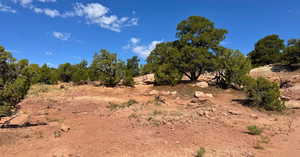 View of undeveloped land