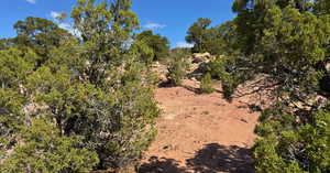 View of undeveloped land