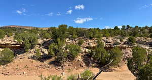 View of undeveloped land
