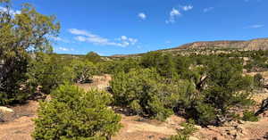 View of mountain background