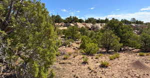View of undeveloped land
