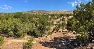 View of mountain background