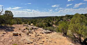 View of tree filled area