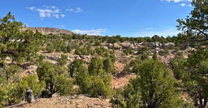 View of mountain background