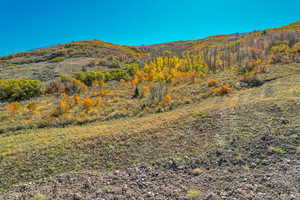 View of mountain backdrop