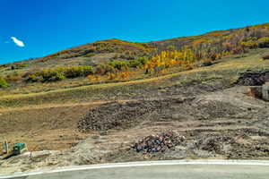 View of mountain background