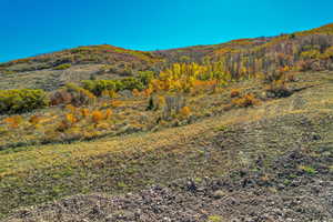 View of mountain backdrop