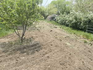 View of undeveloped land on lot