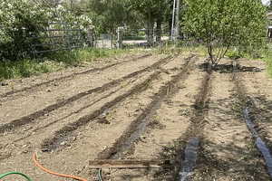 View of the vegetable garden