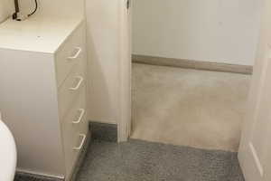 Bathroom with carpet