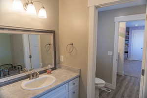 Jack and Jill bathroom featuring vanity and dark wood-type flooring