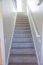 Stairway featuring carpet floors