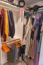 Spacious closet featuring carpet flooring