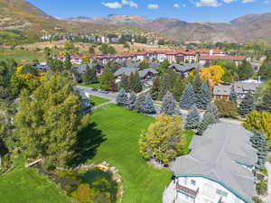 Aerial perspective of suburban area featuring a mountainous background