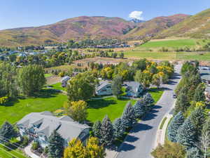 Aerial view of sparsely populated area with a mountain backdrop