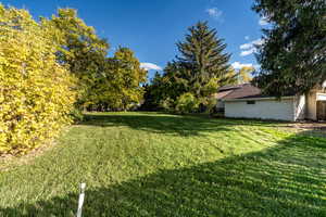 View of grassy yard featuring view of scattered trees