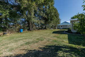 View of grassy yard