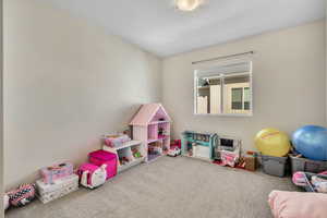 Rec room with carpet flooring