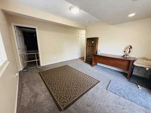 Office with a textured ceiling and carpet